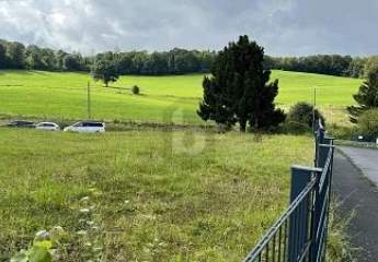 465410-Vorschaubild3