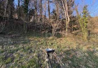 465800-Vorschaubild4