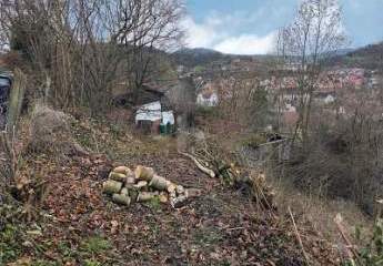 465426-Vorschaubild3