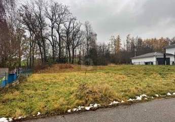 466351-Vorschaubild4