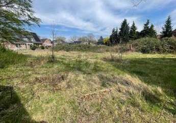 465370-Vorschaubild3