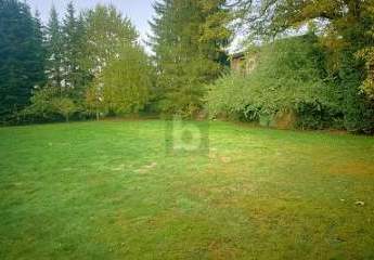 465169-Vorschaubild2