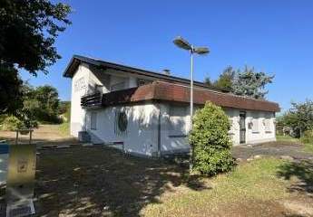 467446-Vorschaubild3