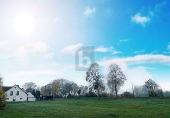 465467-Vorschaubild3