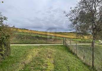 465476-Vorschaubild2