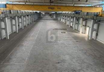 467374-Vorschaubild3