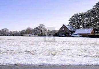 465552-Vorschaubild2