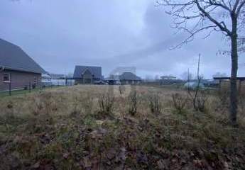 464828-Vorschaubild2