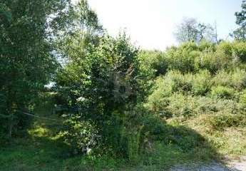 465012-Vorschaubild4