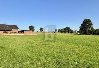 467404-Vorschaubild2