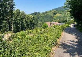 466773-Vorschaubild3