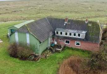 464773-Vorschaubild3