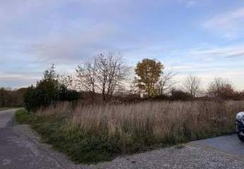 465168-Vorschaubild2