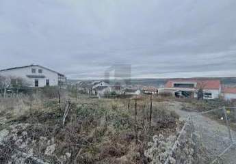 467729-Vorschaubild3