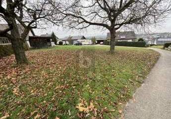 467731-Vorschaubild3