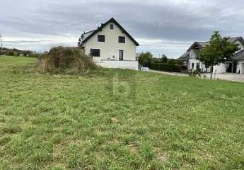 467735-Vorschaubild3