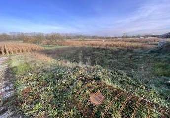 467738-Vorschaubild3