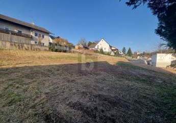 464509-Vorschaubild2