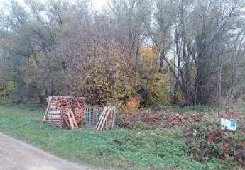 IDYLLISCHES WALDSTÜCK AM ORTSRAND