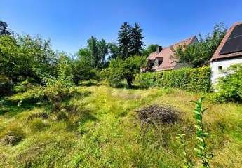 467831-Vorschaubild2