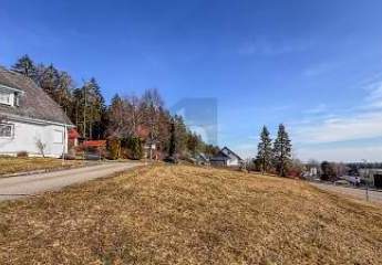 465384-Vorschaubild4