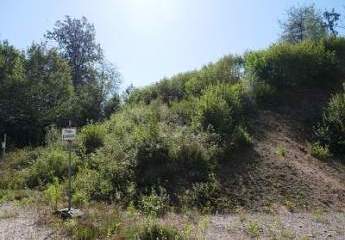 467930-Vorschaubild3