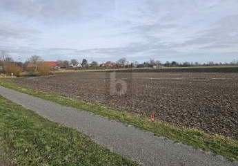 466752-Vorschaubild2