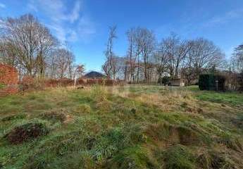 467581-Vorschaubild2