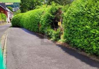 466567-Vorschaubild4