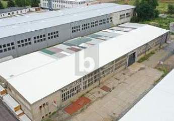 467374-Vorschaubild4