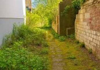 467827-Vorschaubild3