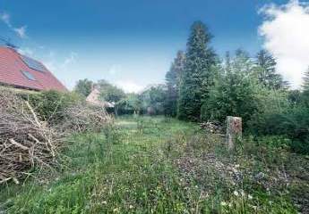 467232-Vorschaubild2