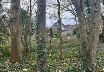 INVESTOREN UND BAUTRÄGER AUFGEPASST!