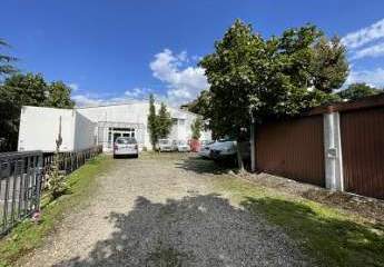 467923-Vorschaubild2