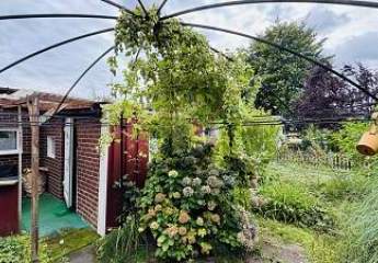 469035-Vorschaubild2