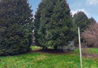 467932-Vorschaubild4