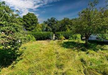 467831-Vorschaubild3