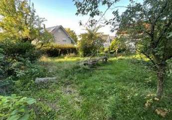 469769-Vorschaubild2