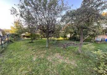 469769-Vorschaubild3