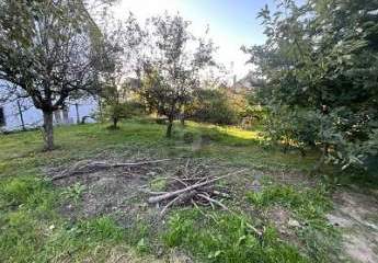 469769-Vorschaubild4