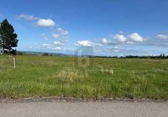 469939-Vorschaubild2