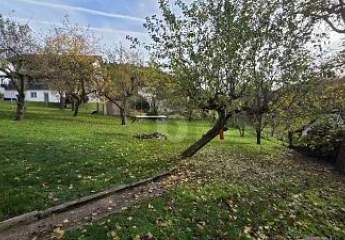 467376-Vorschaubild2