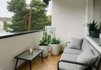 467805-Vorschaubild2