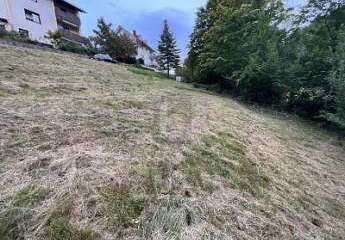 469702-Vorschaubild3