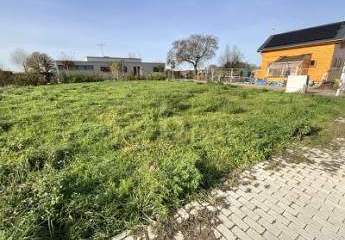 469708-Vorschaubild2