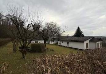 468456-Vorschaubild2