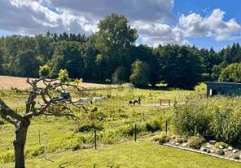 468850-Vorschaubild3