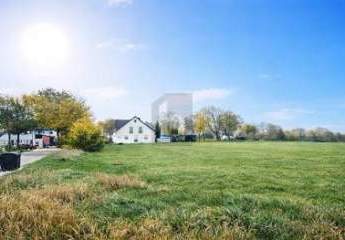 469736-Vorschaubild2