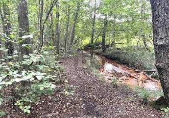 467584-Vorschaubild2