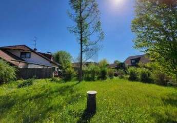 470135-Vorschaubild3